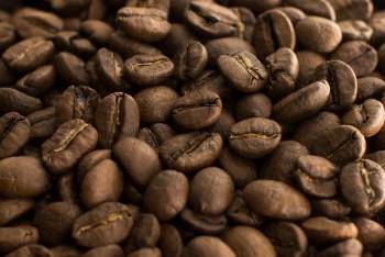 Выберите любимый